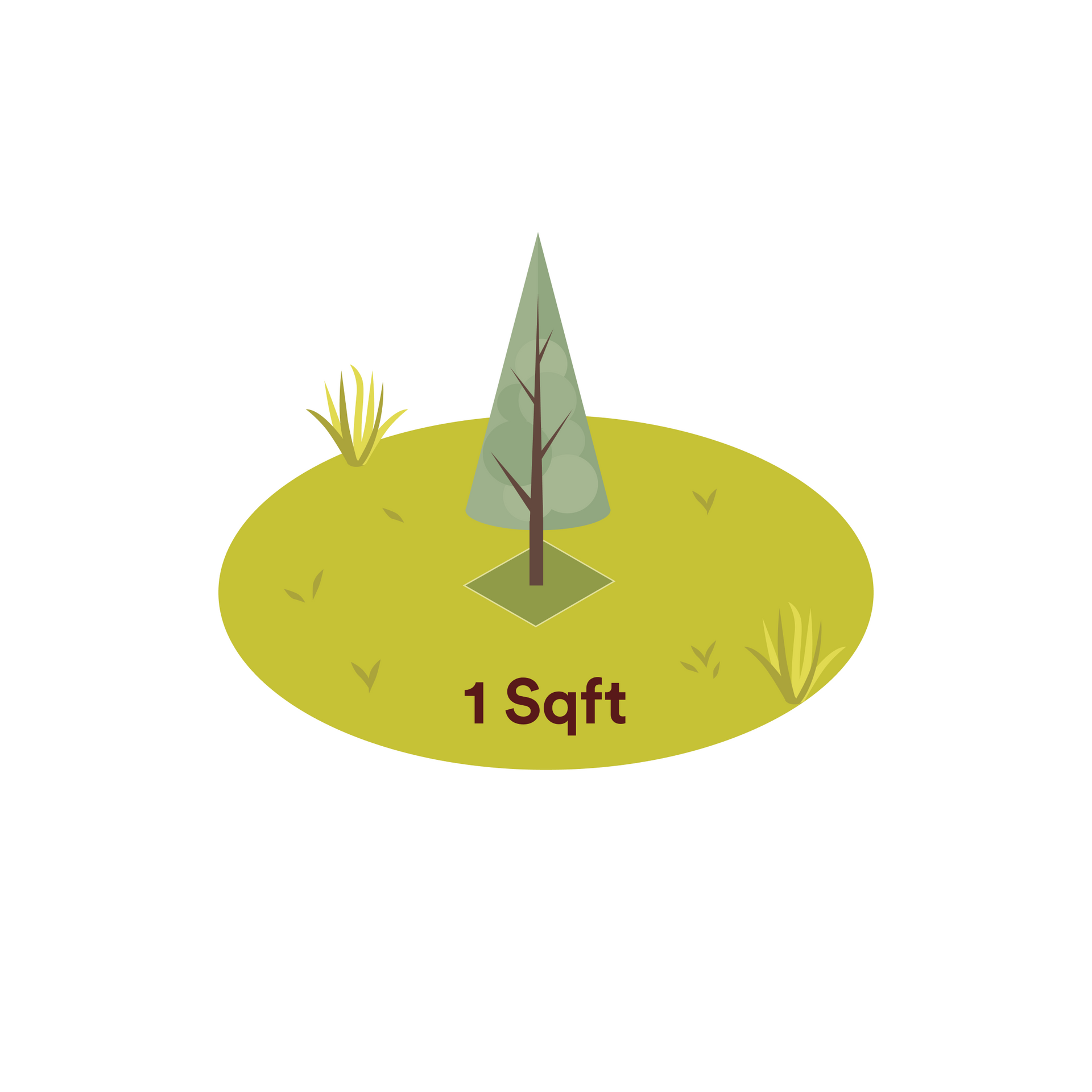 Scottish Title Pack with Land Ownership