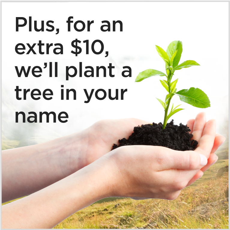 Scottish Title Pack with Land Ownership